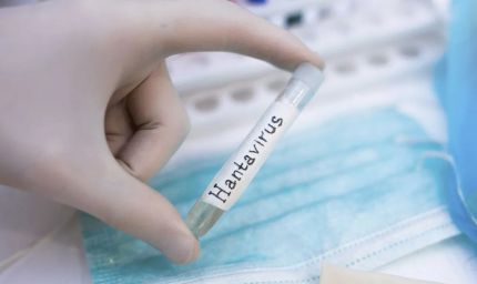 हंता वायरस को लेकर WHO अलर्ट, संक्रमितों के लिए आइसोलेशन अनिवार्य