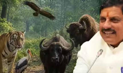 मध्य प्रदेश बना वन्यजीव संरक्षण का मॉडल, कूनो से वैश्विक पहचान
