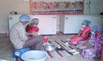सीताफल उत्पादन एवं प्रसंस्करण से महिला स्व-सहायता समूहों की आर्थिक स्थिति में सुधार