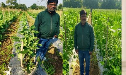 उद्यानिकी की आधुनिक तकनीकों से किसान महेश कश्यप की बदली तकदीर