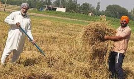 हरियाणा के किसानों ने बदली तस्वीर, पराली जलाने के बजाय अपना रहे वैज्ञानिक तरीके