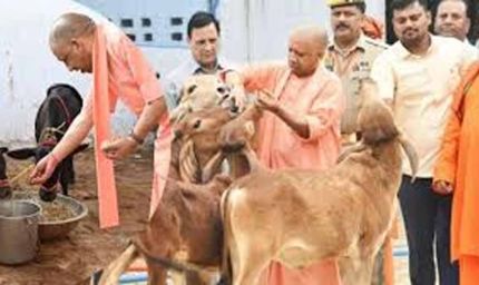 गोसंरक्षण से ग्रामोदय तक, योगी सरकार का बदलता उत्तर प्रदेश मॉडल