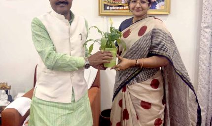 50 मेगावाट सौर ऊर्जा एवं ऊर्जा भंडारण परियोजना से सौर ऊर्जा के क्षेत्र में सतना को होगा सतत विकास