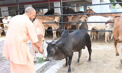 सीएम योगी के निर्देश पर चार बड़ी महत्वाकांक्षी योजनाएं पूरे प्रदेश में लागू, ग्रामीण अर्थव्यवस्था को मिलेगी नई ताकत