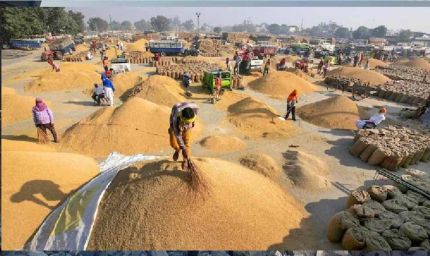मंडियों में धान की रिकॉर्डतोड़ आवक, पिछले साल के आंकड़े हुए ध्वस्त