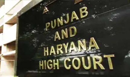 पंजाब-हरियाणा हाईकोर्ट का बड़ा फैसला, नानी को भी मिला बच्चे के भरण-पोषण का अधिकार