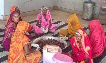 कल्दा वन-धन विकास केंद्र बना जनजातीय महिला उद्यमिता का प्रतीक