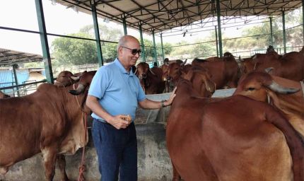 राष्ट्रशक्ति और आर्थिक समृद्धि का नया मॉडल बन रहा गो संरक्षण