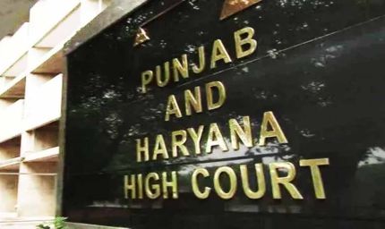 हरियाणा ग्रुप-D भर्ती विवाद: हाईकोर्ट ने चयनित खिलाड़ियों की नौकरी पर रोक हटाई