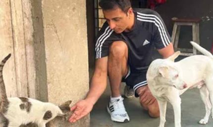 स्ट्रे डॉग्स के समर्थन में आए Sonu Sood, बोले- ‘इन्हें घर और हक दोनों देने होंगे’