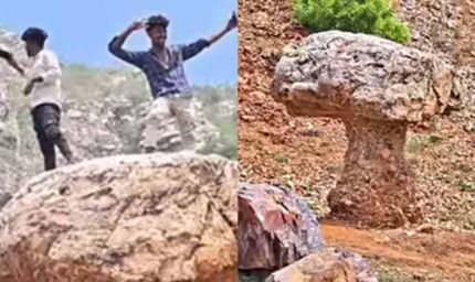 गया में मशरूम के आकार की अनोखी चट्टान बनी पर्यटकों का आकर्षण, गांव को मिली नई पहचान