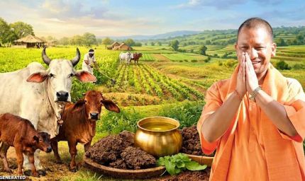 गौ संरक्षण बना यूपी की नई ताकत, योगी सरकार ने ग्रामीण अर्थव्यवस्था को दी जबरदस्त रफ्तार