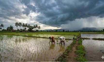 मानसून 2026 की जल्द दस्तक! कल केरल पहुंच सकता है दक्षिण-पश्चिम मानसून, मौसम अनुकूल