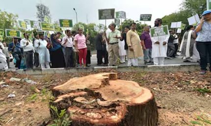 हिसार का 63 करोड़ का डबल लूप इंटरचेंज प्रोजेक्ट अटका, हाईकोर्ट ने पेड़ कटाई पर लगाई रोक