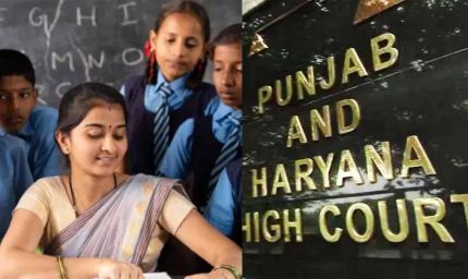 20 साल से पढ़ा रहे गेस्ट फैकल्टी शिक्षकों को नियमित करें, हाईकोर्ट का बड़ा आदेश