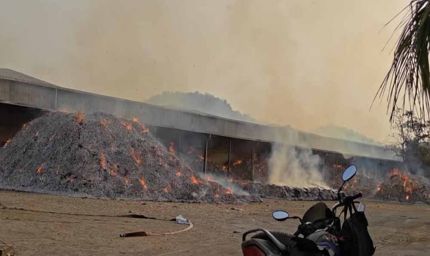 तेंदूपत्ता अग्निकांड पर बड़ा एक्शन, बीजापुर के DFO हटाए गए