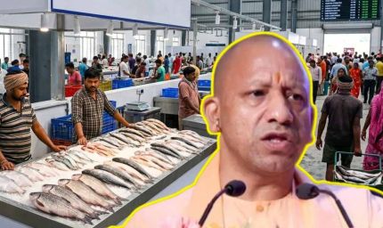 यूपी में मत्स्य कारोबार को मिलेगा बड़ा बूस्ट, गोरखपुर-मुरादाबाद में बनेंगी आधुनिक फिश मंडियां