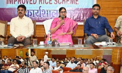 छत्तीसगढ़ में ‘इम्प्रूव्ड राईस स्कीम’ लागू करने की तैयारी तेज