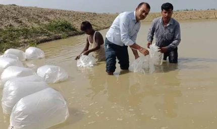 दरभंगा में मत्स्य उत्पादन को नई उड़ान, किसानों को मिला उन्नत जयंती रोहू और अमृत कतला स्पान