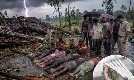 बिहार में आंधी-बारिश का कहर: 8 लोगों की मौत, फसलों और बिजली व्यवस्था को भारी नुकसान