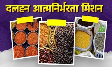 झारखंड में दलहन आत्मनिर्भरता मिशन शुरू, 22 जिलों में बढ़ेगा अरहर-उड़द-मसूर उत्पादन