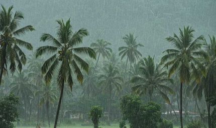 केरल में मॉनसून की रफ्तार धीमी, मौसम विभाग ने बताई देरी की वजह