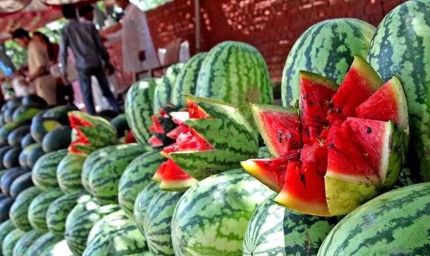 तरबूज से मौत की खबरों का असर, खरीदार गायब; कई शहरों में दाम 30% तक गिरे