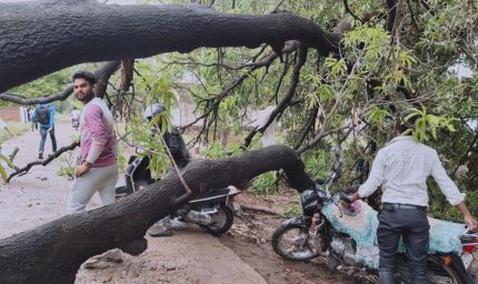 MP Weather Update: ग्वालियर-मुरैना में बारिश, 6 जिलों में लू और आंधी-ओलों का अलर्ट