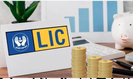 LIC शेयर में एक दिन में 50% गिरावट! निवेशकों में मची हलचल, जानिए वजह