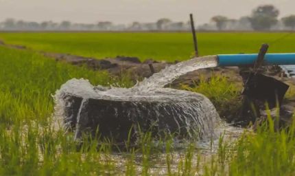 मात्र 5 रुपये में 1 लाख 10 हजार से अधिक किसानों को मिला नया स्थाई कृषि पंप कनेक्शन