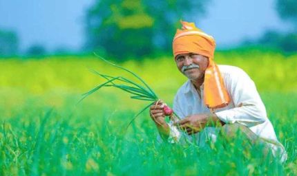 बदलती खेती में नैनो यूरिया और नैनो डीएपी बन रहे किसानों की नई पसंद