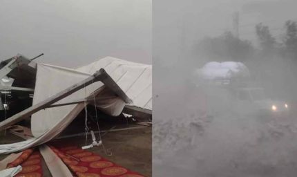 हरियाणा में आंधी का कहर, 340 बिजली खंभे और 50 ट्रांसफार्मर धराशायी