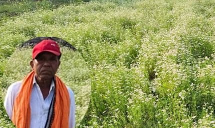 महासमुंद के किसान रतिराम की बदली किस्मत, धनिया की खेती से बढ़ी आमदनी