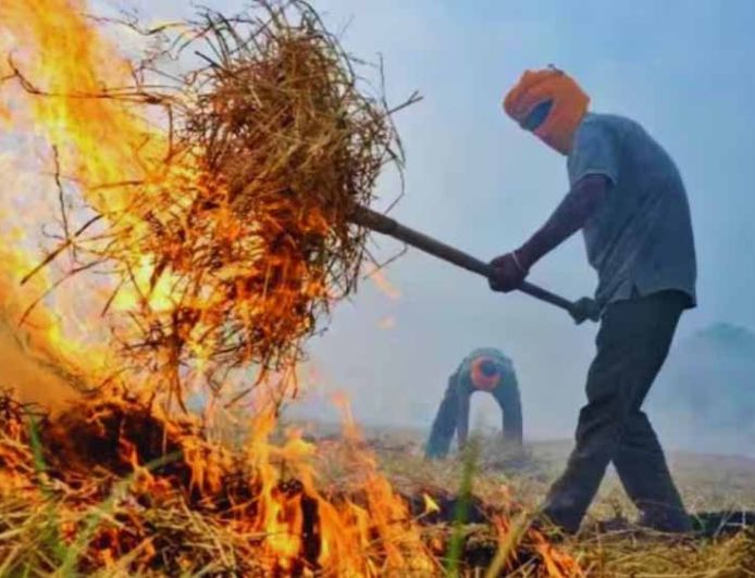 Haryana में पराली जलाने पर रोक बेअसर, मामलों में सात गुना उछाल