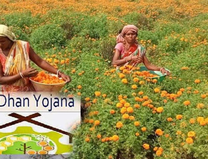 नारी शक्ति वंदन: वन धन केन्द्रों से आत्मनिर्भर बन रहीं जनजातीय वर्ग की महिलाएं