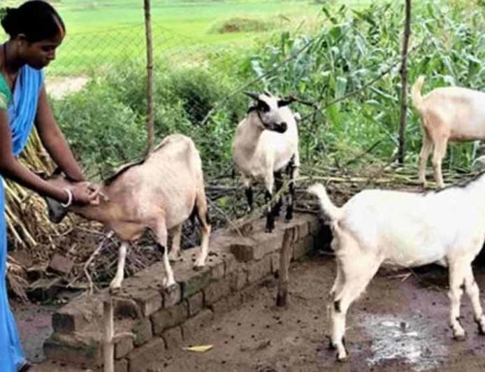 धमतरी का भटगांव बनेगा इनोवेशन हब