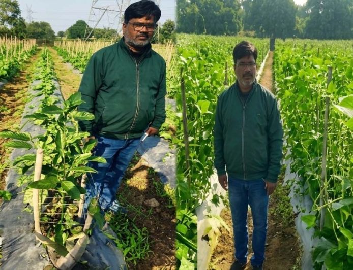 उद्यानिकी की आधुनिक तकनीकों से किसान महेश कश्यप की बदली तकदीर