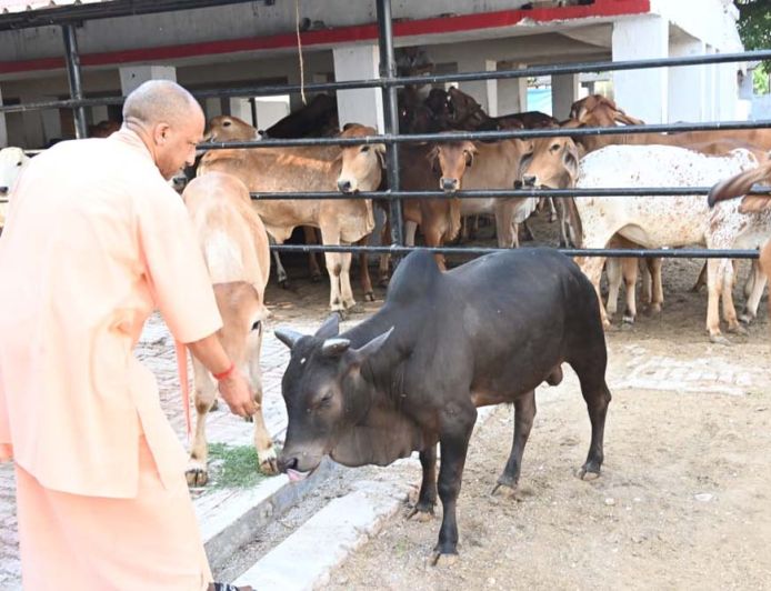 सीएम योगी के निर्देश पर चार बड़ी महत्वाकांक्षी योजनाएं पूरे प्रदेश में लागू, ग्रामीण अर्थव्यवस्था को मिलेगी नई ताकत