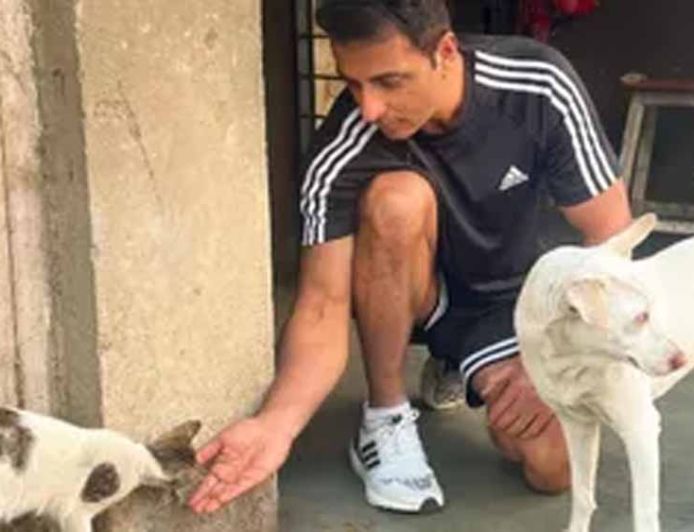 स्ट्रे डॉग्स के समर्थन में आए Sonu Sood, बोले- ‘इन्हें घर और हक दोनों देने होंगे’