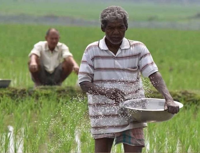 हरियाणा के किसानों को बड़ा तोहफा, धान की सीधी बिजाई पर मिलेंगे 4500 रुपए