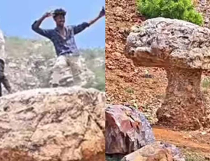 गया में मशरूम के आकार की अनोखी चट्टान बनी पर्यटकों का आकर्षण, गांव को मिली नई पहचान