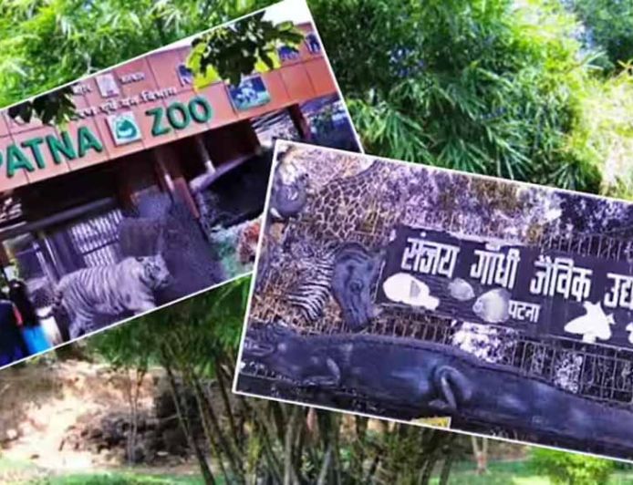 पटना जू में आने वाला है सिंगापुर से दो-सिंग वाला सफेद गैंडा, एक्सचेंज प्रोग्राम पर तैयारी