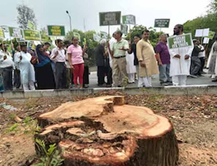 हिसार का 63 करोड़ का डबल लूप इंटरचेंज प्रोजेक्ट अटका, हाईकोर्ट ने पेड़ कटाई पर लगाई रोक