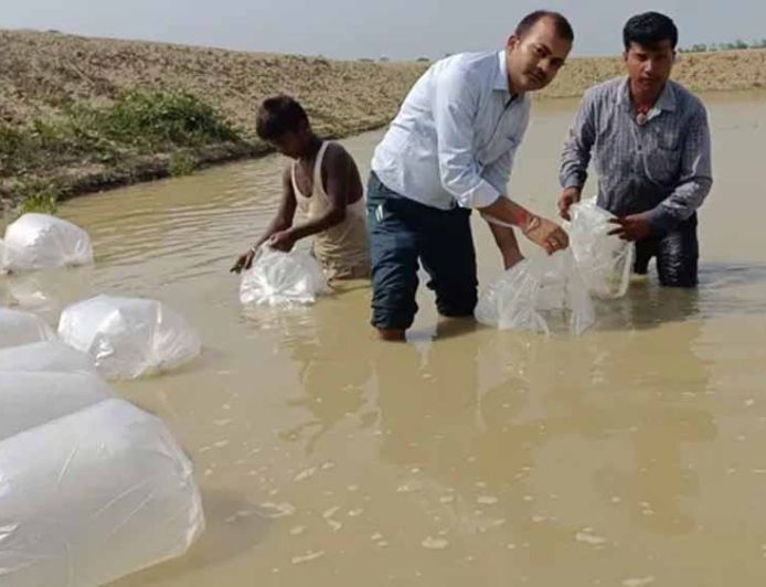 दरभंगा में मत्स्य उत्पादन को नई उड़ान, किसानों को मिला उन्नत जयंती रोहू और अमृत कतला स्पान