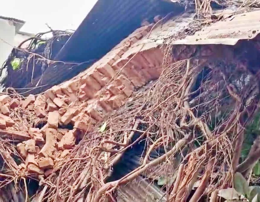 बिहार में आंधी-बारिश और ओलावृष्टि से 13 की मौत, कई जिलों में तबाही