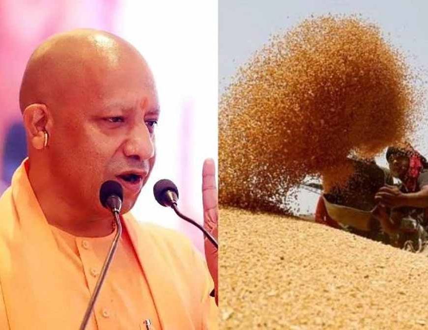 प्रदेश में गेहूं खरीद ने पकड़ी रफ्तार, 28 अप्रैल तक 6.10 लाख मीट्रिक टन गेहूं की खरीद