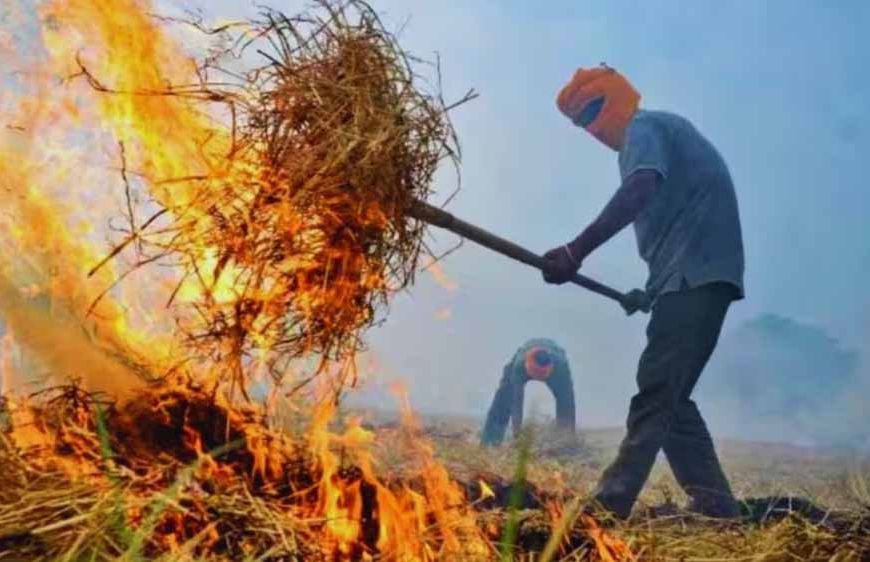 Haryana में पराली जलाने पर रोक बेअसर, मामलों में सात गुना उछाल