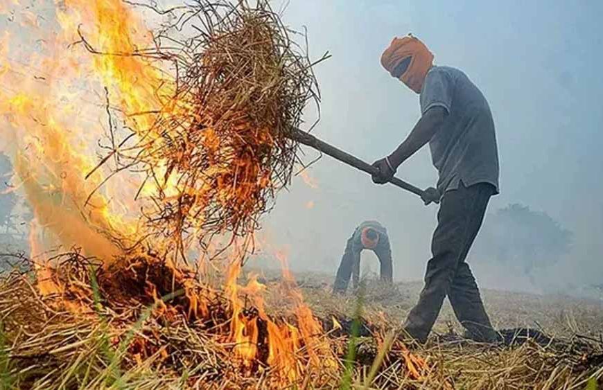 पराली जलाने पर सरकार सख्त, कई राज्यों में हजारों मामले दर्ज