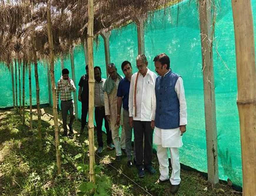 उप मुख्यमंत्री ने किया प्राकृतिक खेती का निरीक्षण
