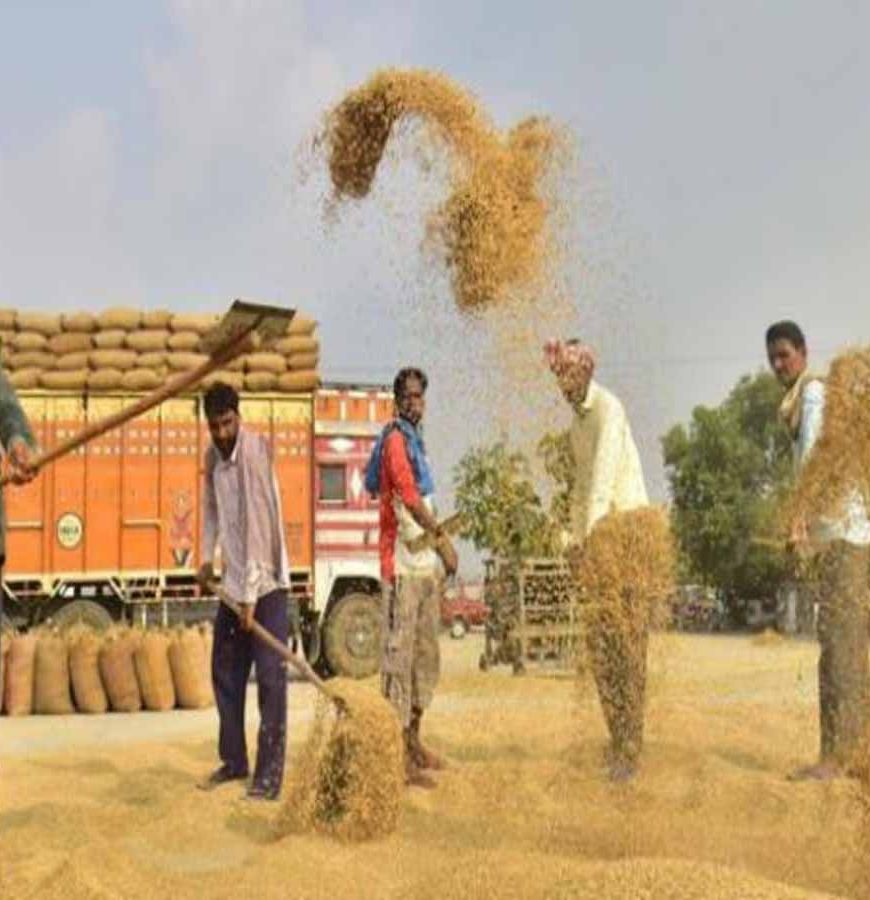 हरियाणा के किसान अब तंजानिया में भी कर सकेंगे खेती, सरकार ने विदेशी कृषि निवेश को दी मंजूरी